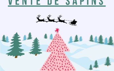 VENTE DE SAPINS – Vendredi 05 décembre 2025